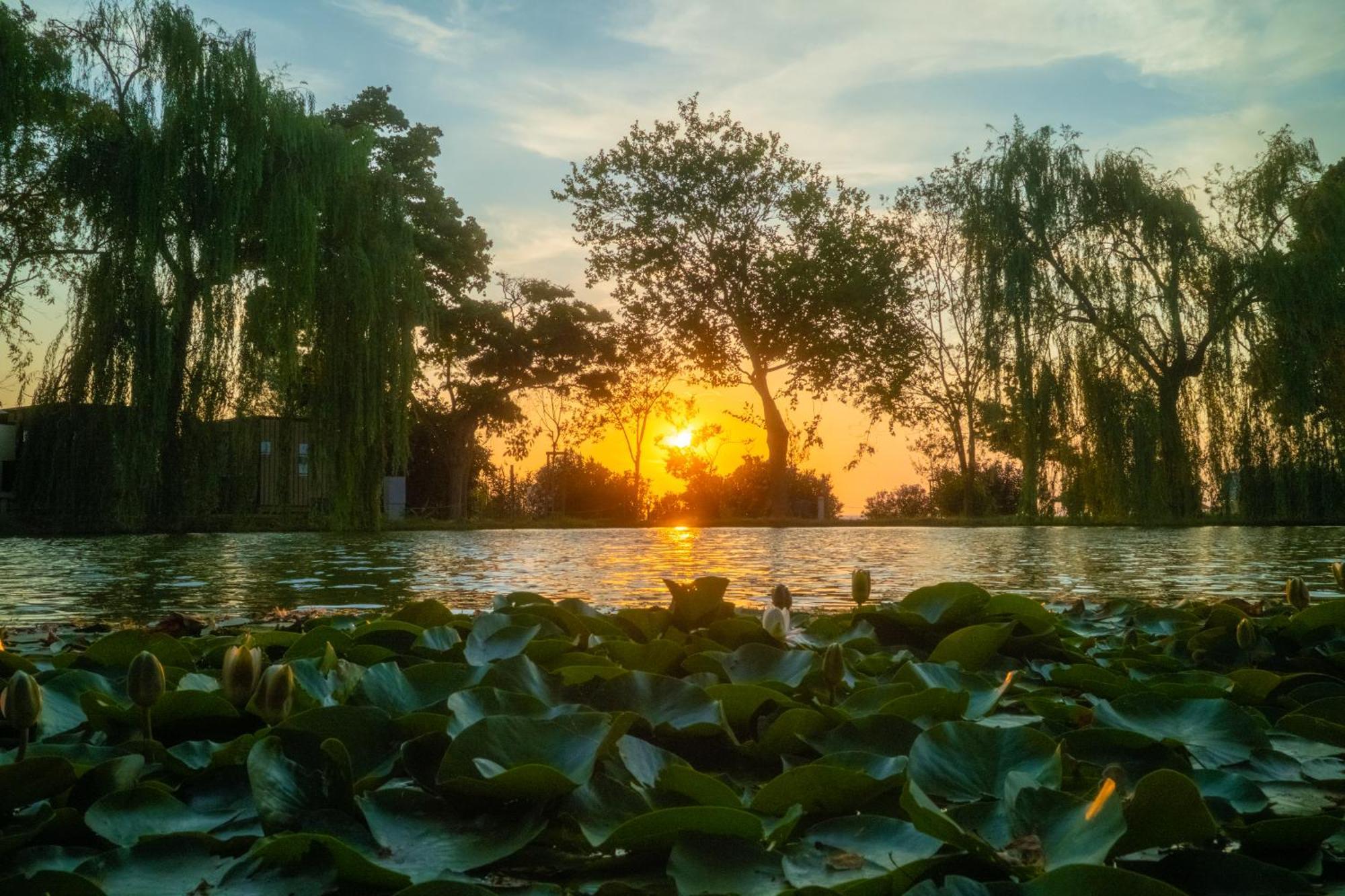 Campsite Trasimeno Glamping *